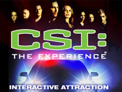 CSI: The Experience